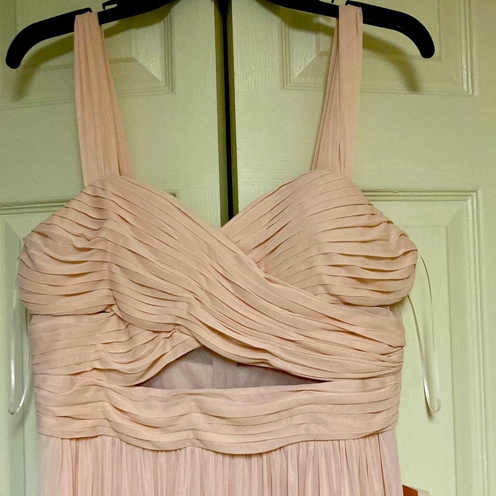 NWT L Pale Blush unaltered gown.
